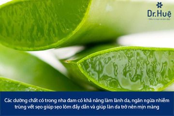 Ăn Gì Để Sẹo Lõm Nhanh Đầy: 5 Món Ăn Trị Sẹo Lõm Hay Nhất