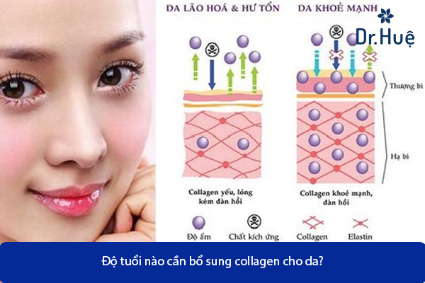 [Cách Sử Dung] Uống Collagen Như Thế Nào Là Đúng Cách Hiệu Quả Nhất