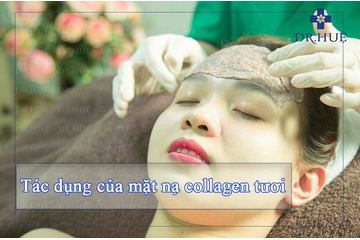 Đắp mặt nạ Collagen tươi có tác dụng gì ?