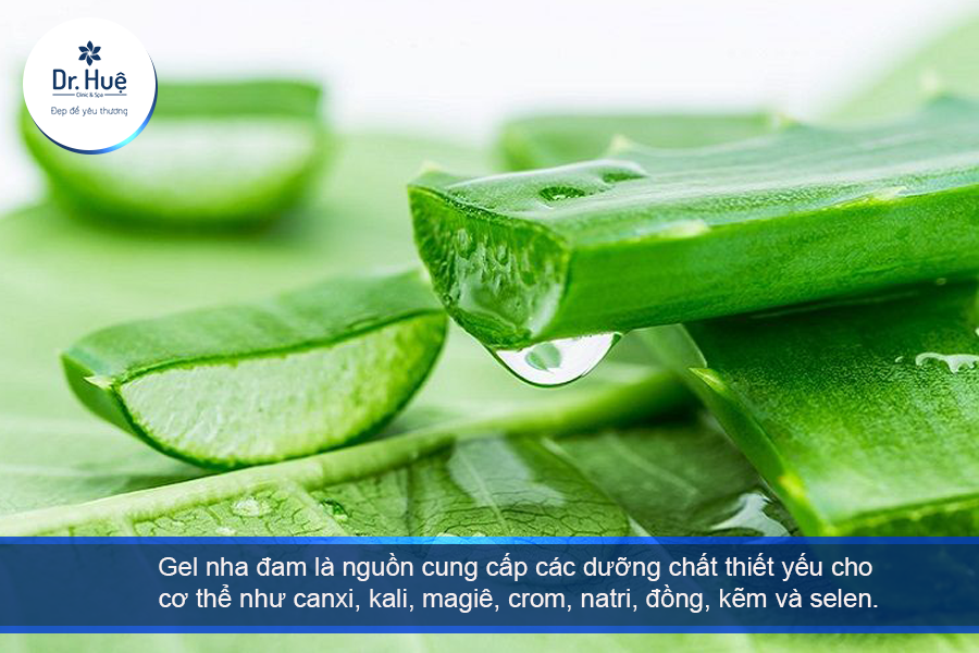 Nha đam kháng khuẩn trị mụn 