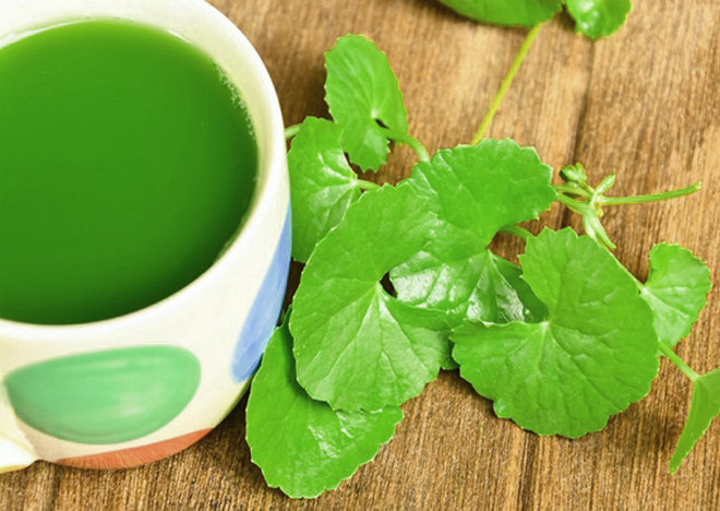 Rau má – nguyên liệu thiên nhiên thường được dùng để trị sẹo rỗ