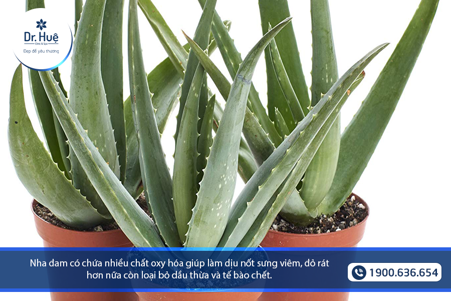 Tổng hợp các cách tái tạo làn da sau mụn