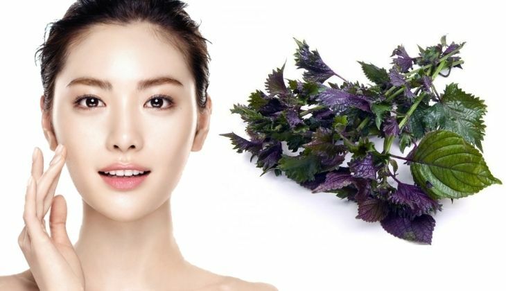 Trị nám tàn nhang bằng mặt nạ lá tía tô