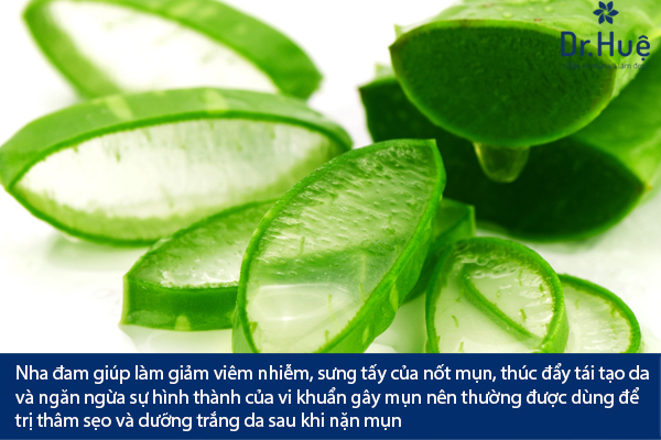 Tổng Hợp Các Loại Mặt Nạ Làm Dịu Da Sau Khi Nặn Mụn