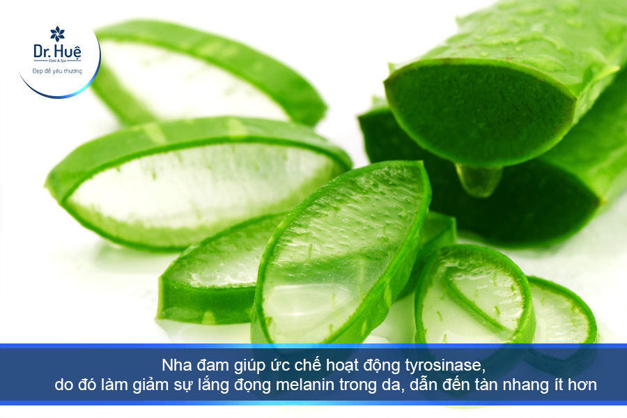 nha đam giúp ức chế hoạt động của tyrosinase, giúp điều trị nám hiệu quả 