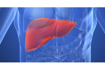 [Tư Vấn] Bị nóng gan nổi mụn nên uống gì