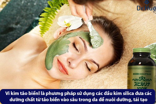Vi kim tảo biển là gì - vi kim tảo biển có an toàn không