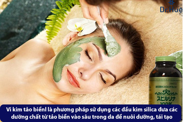 Vi kim tảo biển là gì - vi kim tảo biển có an toàn không